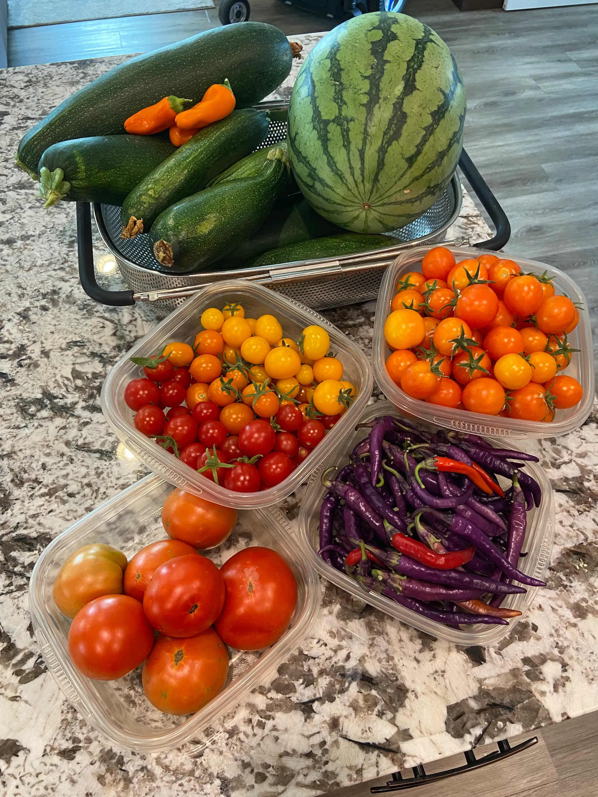 Garden Haul