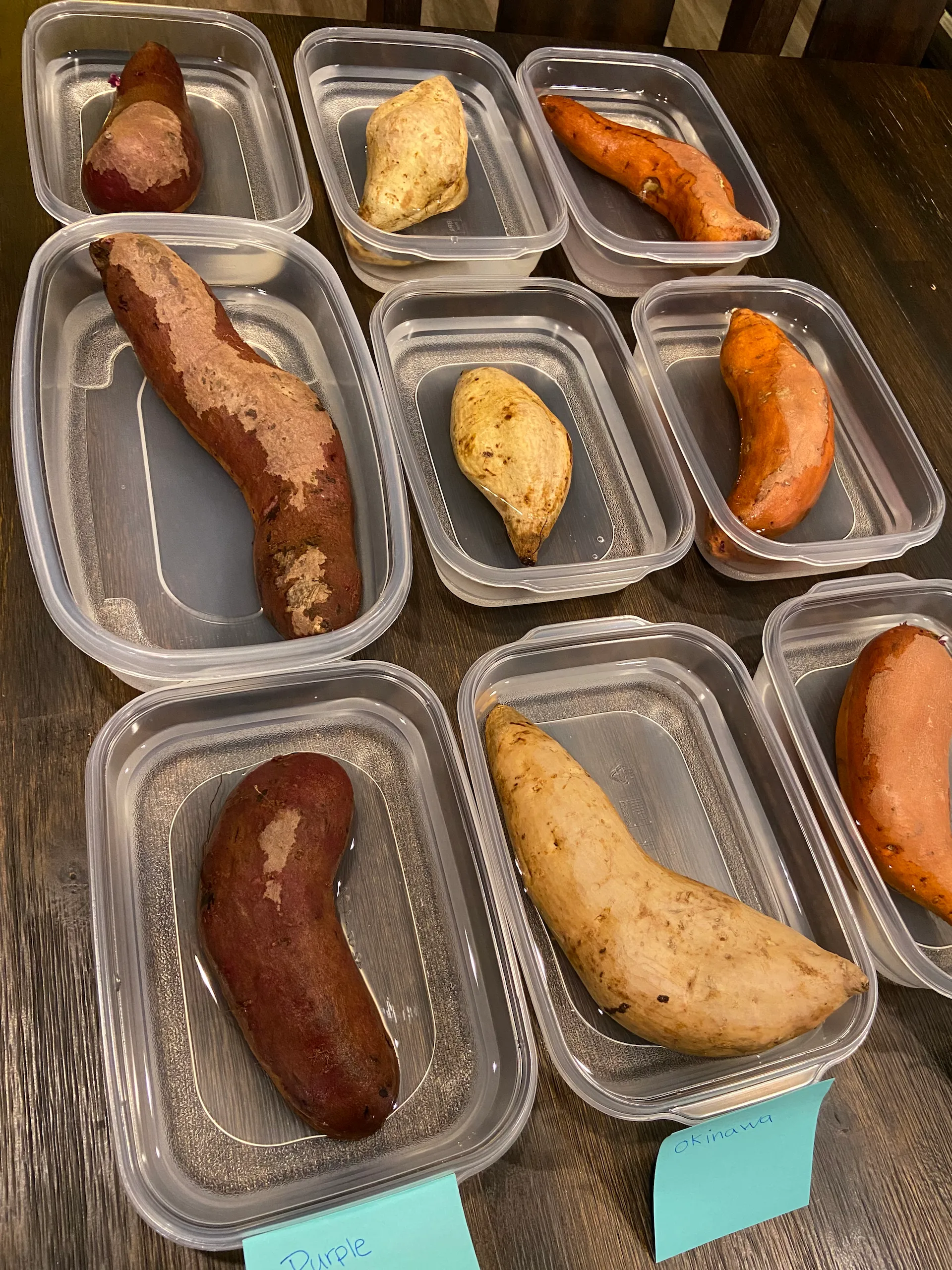 Starting Sweet Potatoes